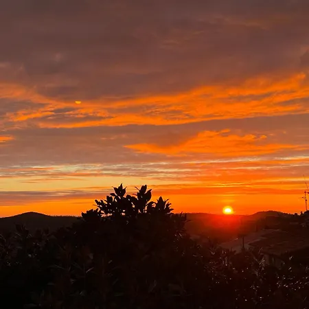 Le Nid, Vue Mer, Village Et Collines Avec Terrasse Daire Bormes-les-Mimosas